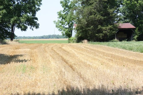 Property photo 6 - AUCTION POSTPONED